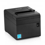 فیش پرینتر بیکسولون مدل E 300N